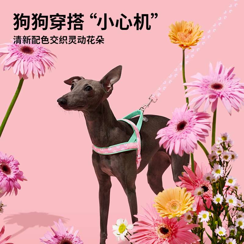 ペット用首輪 優雅な細身犬専用やさしいハーネス