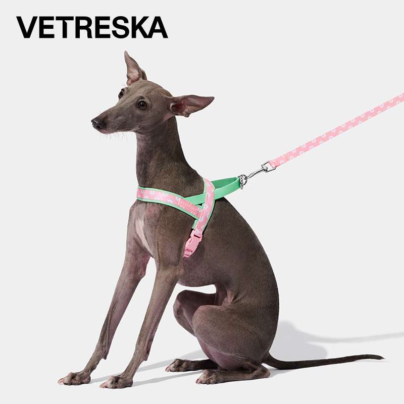 ペット用首輪 優雅な細身犬専用やさしいハーネス