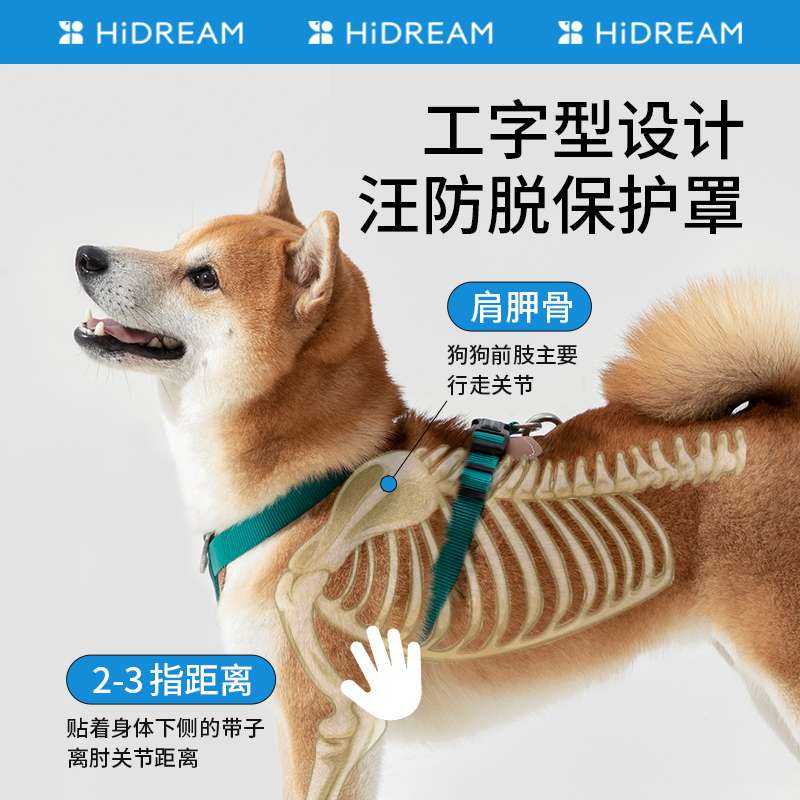 リード