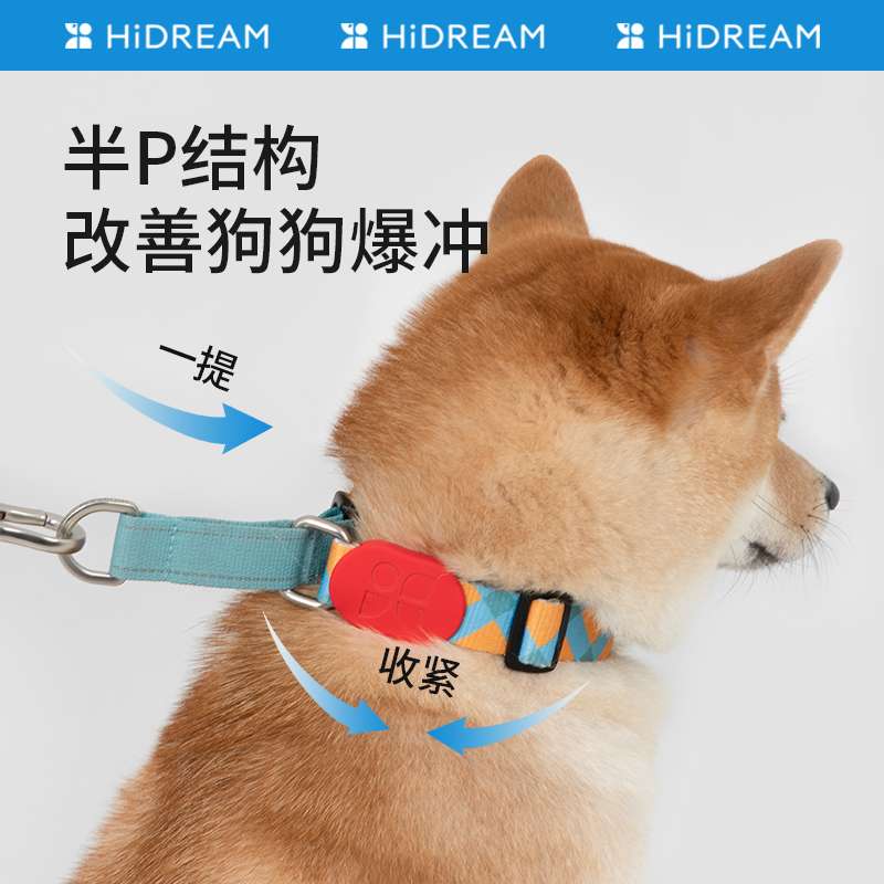 セットアップ