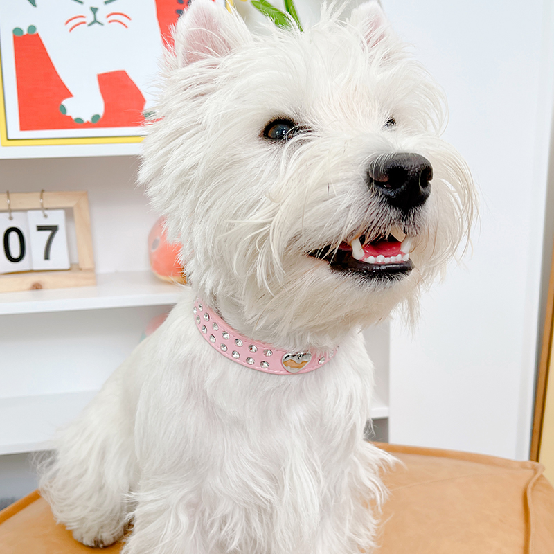 ペット用首輪 キラキラハート 愛犬首輪