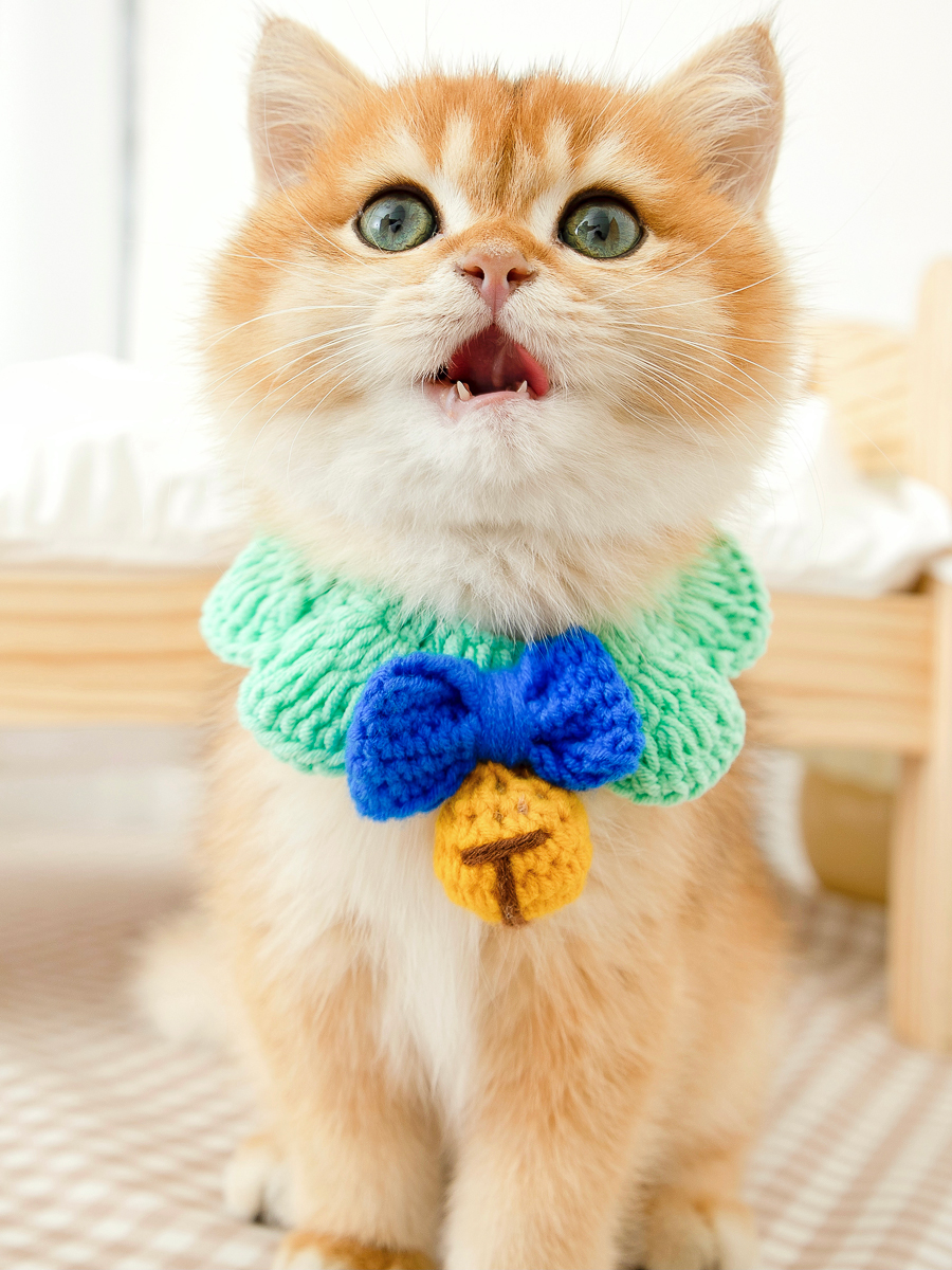 ペット用首輪 ねこちゃんのおめかし首輪