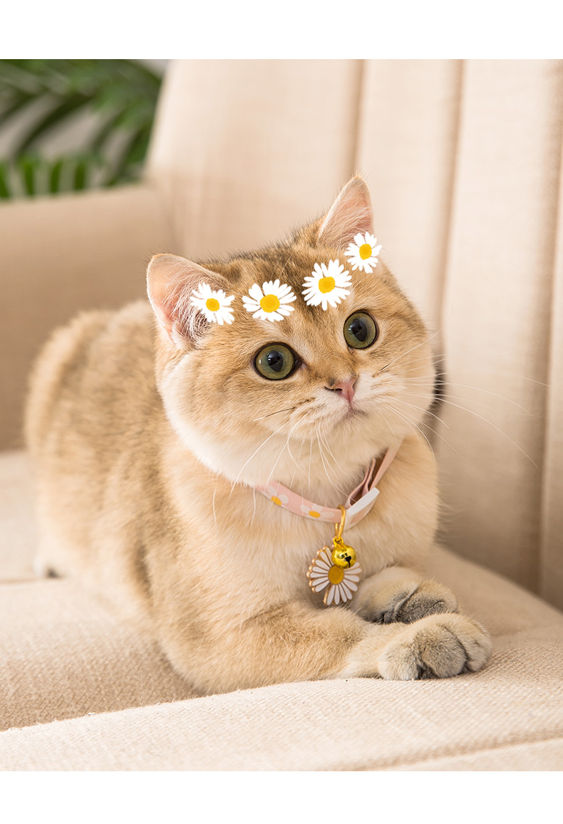 ペット用首輪 お花のしぐさ 猫の首輪チャーム