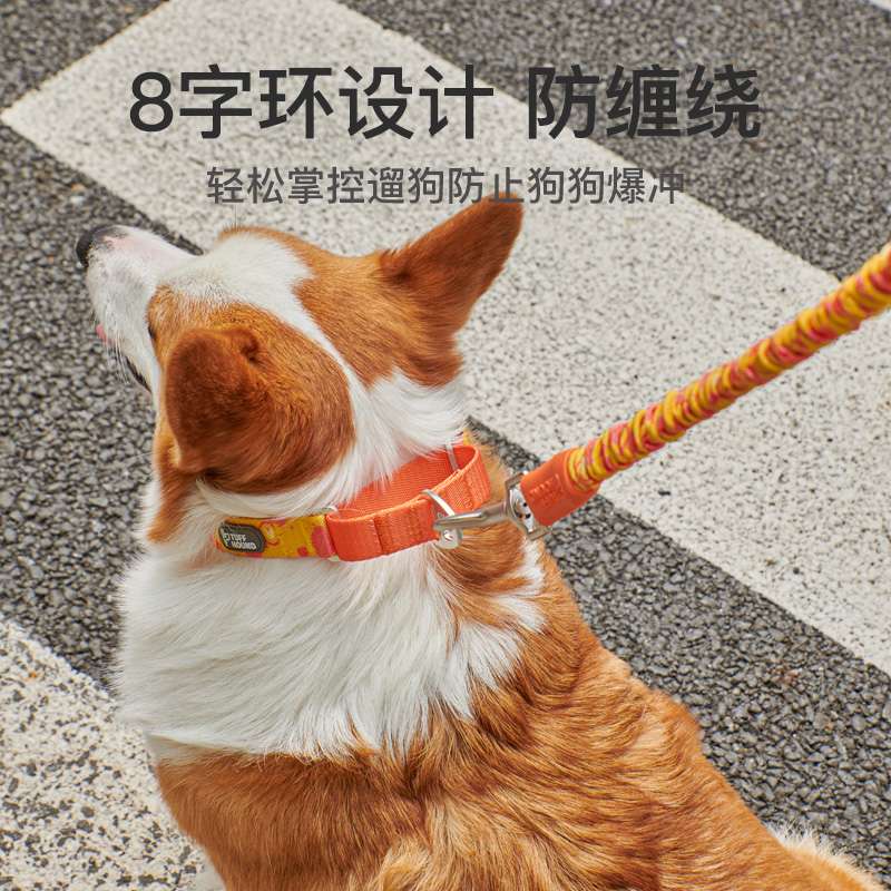 首輪
