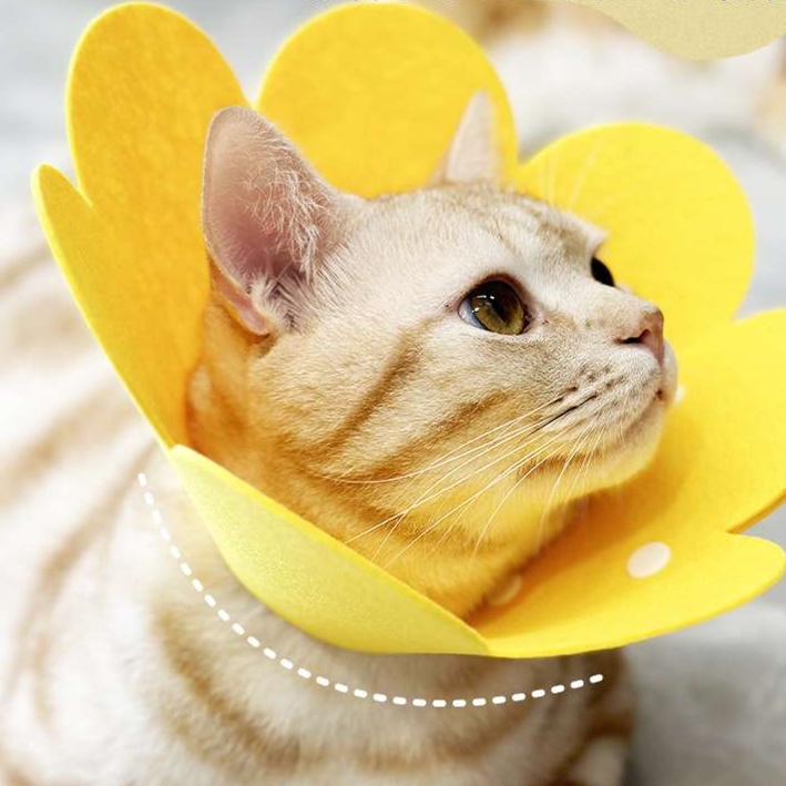 ペット用首輪  お花の形のかわいい猫用エリザベスカラー