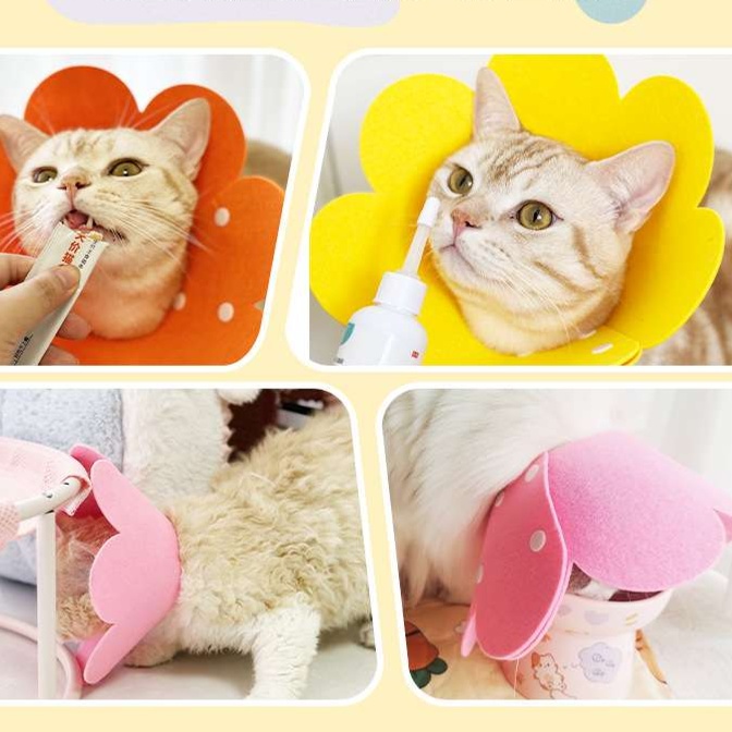 ペット用首輪  お花の形のかわいい猫用エリザベスカラー