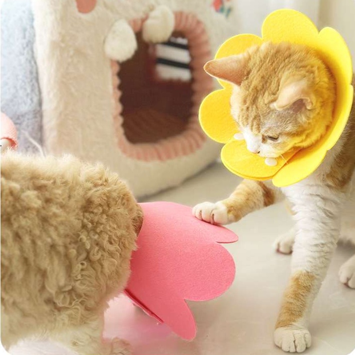 ペット用首輪  お花の形のかわいい猫用エリザベスカラー