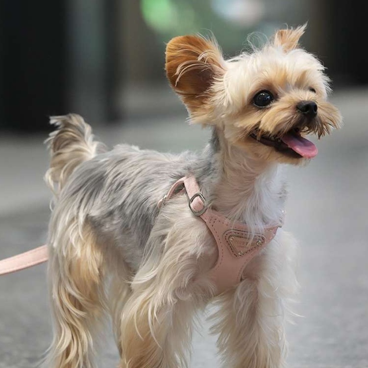 ペット用首輪  ふわもこ小型犬用ハーネス