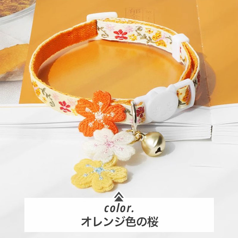 https://fulmo-img-server.com/poppuppy/1727855660427_g03qoiyd_8.jpg