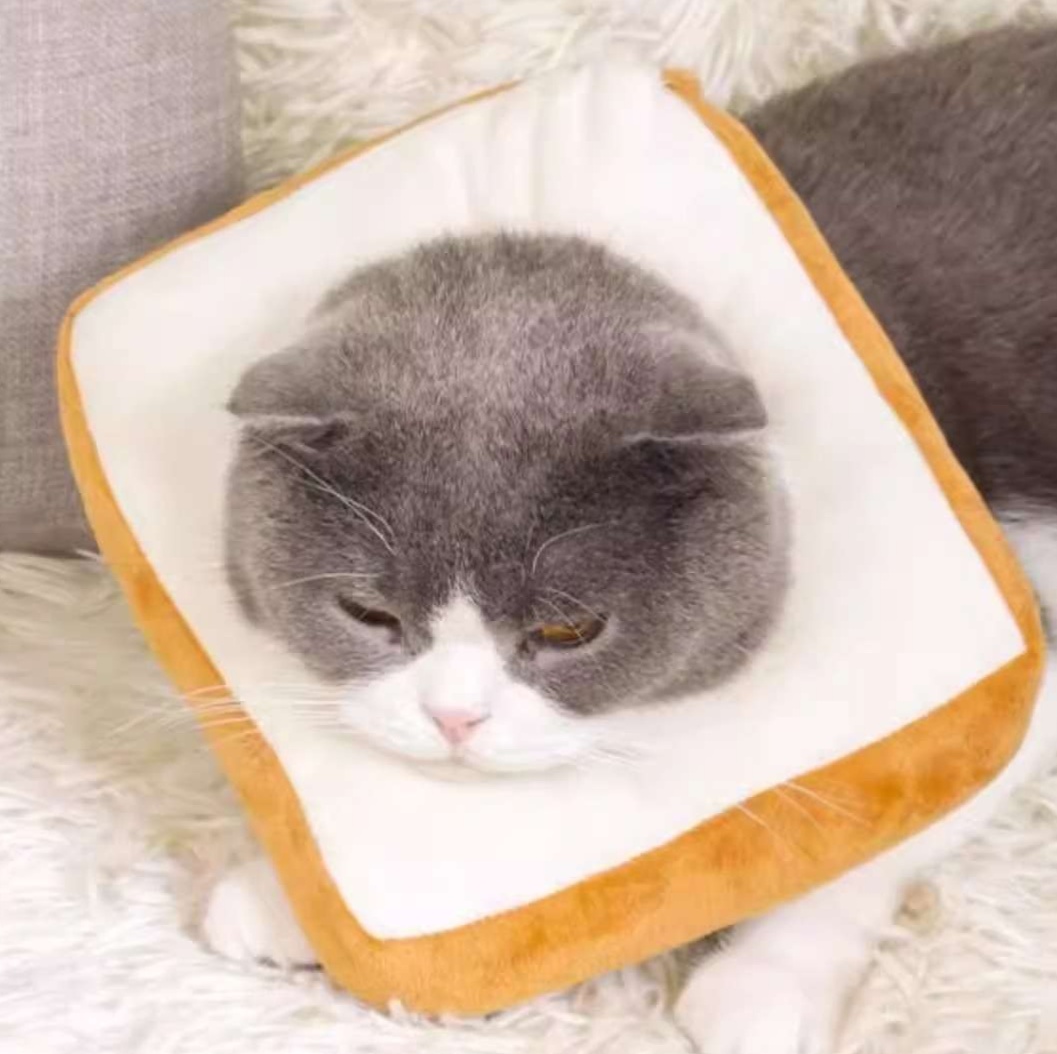 https://fulmo-img-server.com/poppuppy/1727943353794_z3elag5q_cropped.jpg