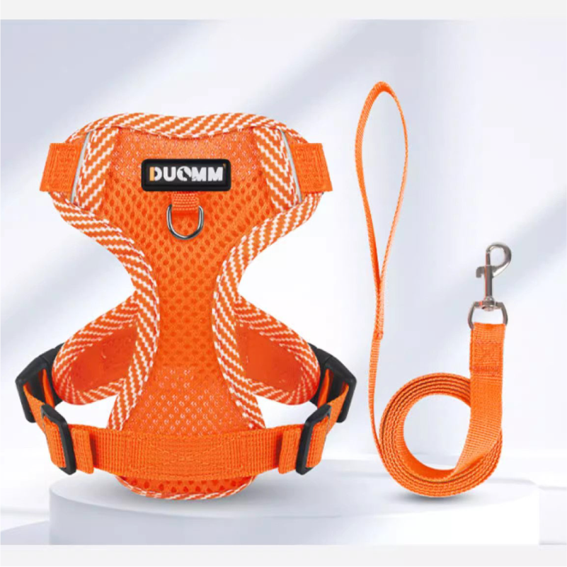 https://fulmo-img-server.com/poppuppy/1733381756602_it809zlk_x1kdw0qm