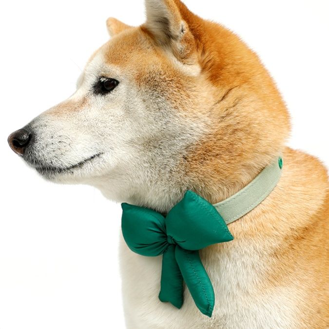 ペット用首輪 愛犬華やかリボン首輪