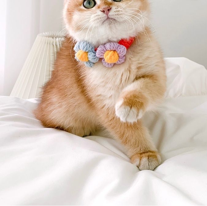 ペット用首輪 お花の贈り物 猫用首輪