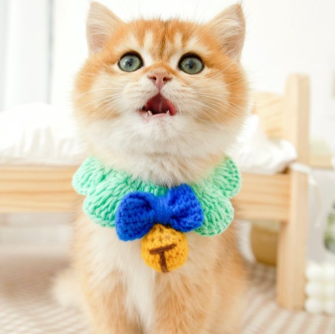 ペット用首輪 ねこちゃんのおめかし首輪
