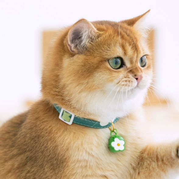 ペット用首輪 優雅な鈴付き首輪 猫の貴族