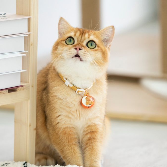 ペット用首輪 優雅な鈴付き首輪 猫の貴族