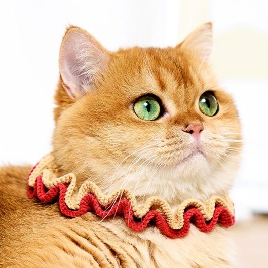 ペット用首輪 ふんわりフリルの猫専用首輪