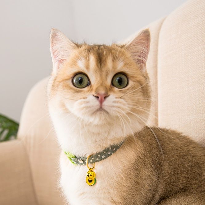 ペット用首輪 お花のしぐさ 猫の首輪チャーム