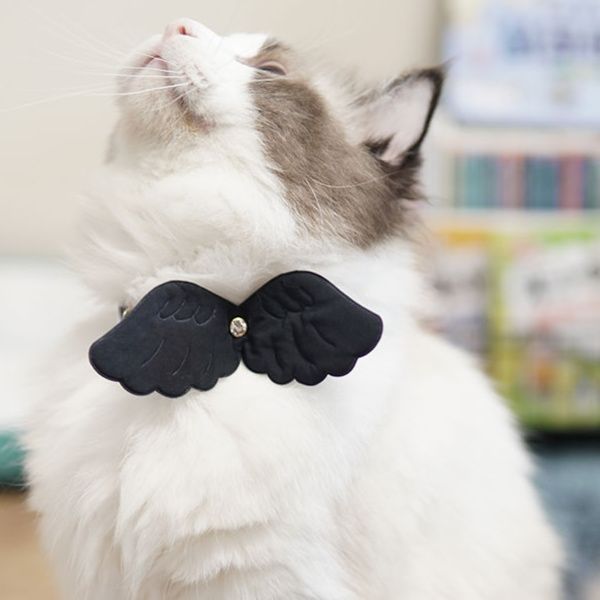 ペット用首輪 天使の翼 ねこ首輪