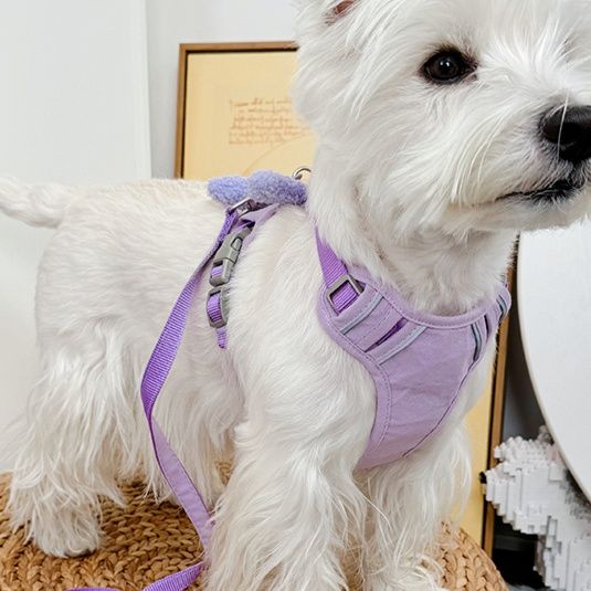ペット用首輪 小型犬用ぬいぐるみ付きハーネス