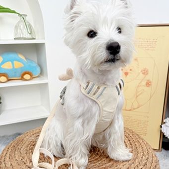 ペット用首輪 小型犬用ぬいぐるみ付きハーネス