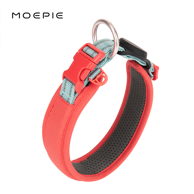 https://fulmo-img-server.com/poppuppy/1751696312202_xz7v6wtm_gsqoe7ig.jpg
