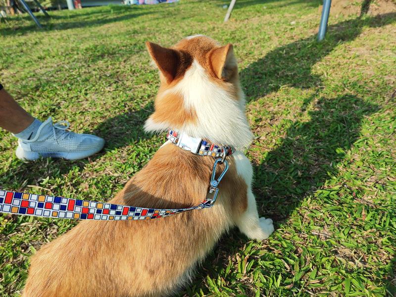 ペット用首輪 幾何学模様の愛犬首輪