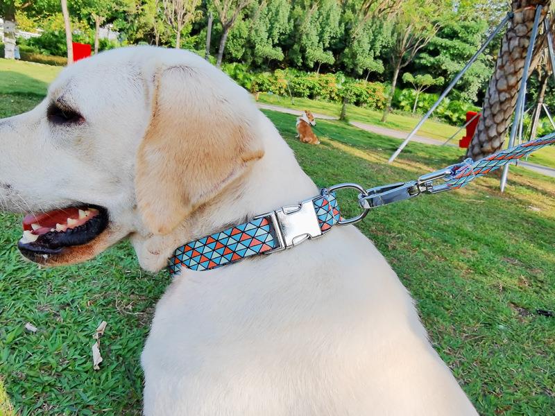 ペット用首輪 幾何学模様の愛犬首輪