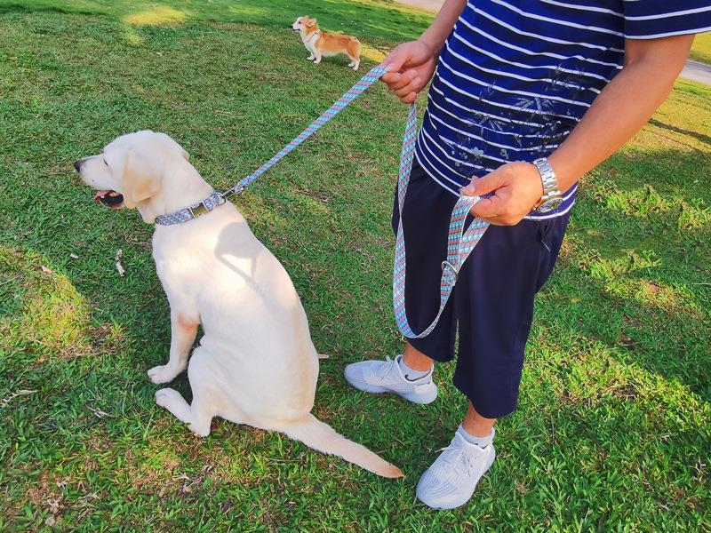 ペット用首輪 幾何学模様の愛犬首輪