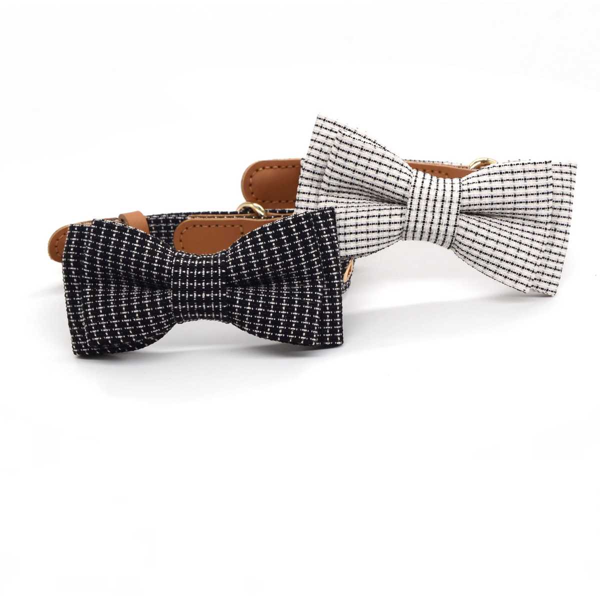 ジャックラッセルテリア向けお洒落な首輪5選