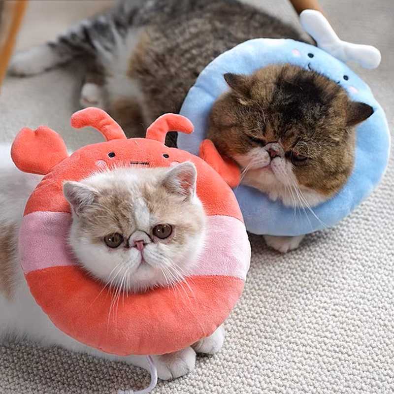 愛猫にぴったり！可愛い猫用首輪5選
