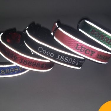 https://fulmo-img-server.com/poppuppy/1760755253686_279oo0jk_xq16hies.jpeg