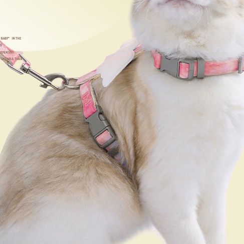 https://fulmo-img-server.com/poppuppy/1760924661796_08d53fum_6xls1da9.jpeg