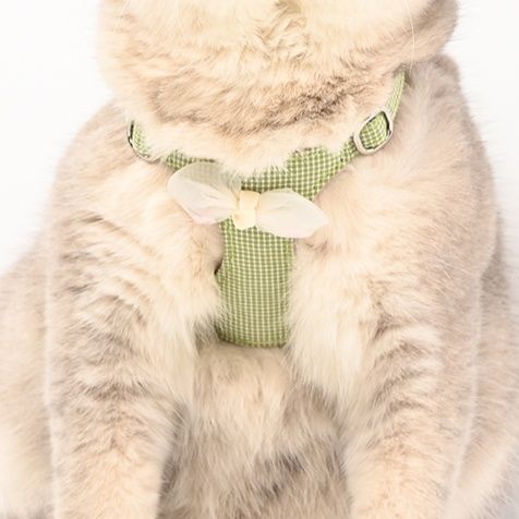 https://fulmo-img-server.com/poppuppy/1760925191964_ra9yzgiy_hgcrkd4w.jpeg
