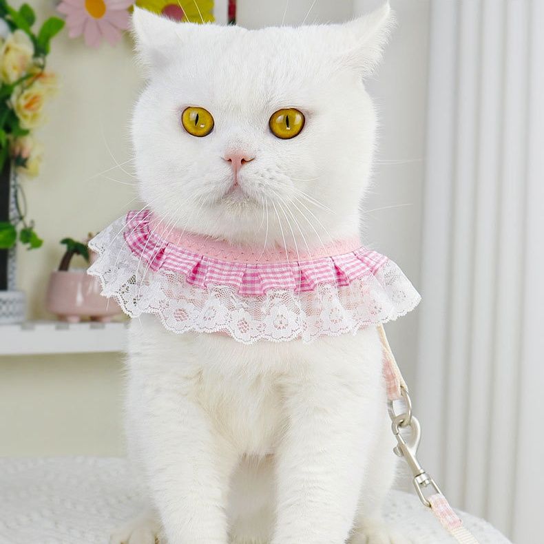 https://fulmo-img-server.com/poppuppy/1760925630357_6001sxma_iipkcnt0.jpeg