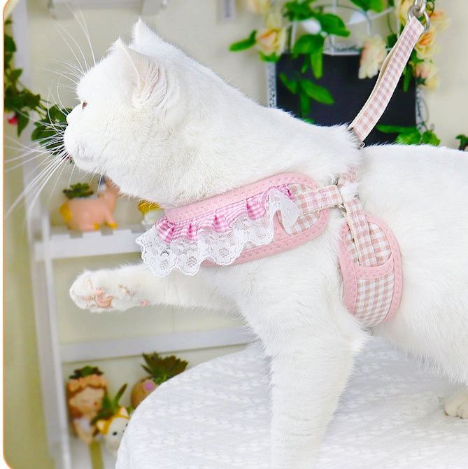 https://fulmo-img-server.com/poppuppy/1760925643059_8gofdr7l_1nnmwcwf.jpeg