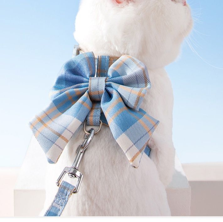 https://fulmo-img-server.com/poppuppy/1760926873729_jzu5fkc5_1hkswhze.jpeg