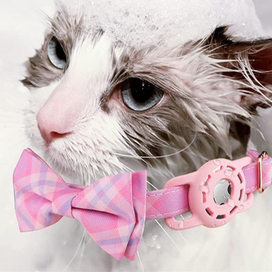 https://fulmo-img-server.com/poppuppy/1760935223404_fux28nlk_1555f3y8.jpeg