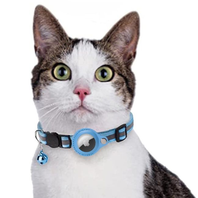 https://fulmo-img-server.com/poppuppy/1760937230237_d7m1w90w_qyvheiu1.jpeg