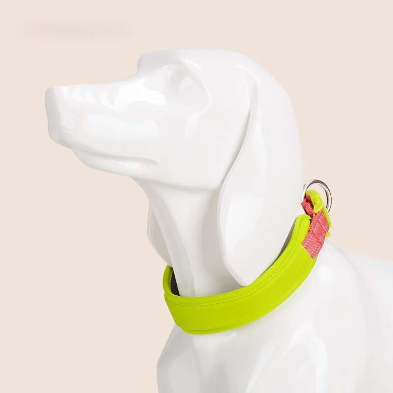 ペット用首輪 モダンスタイル ペット首輪