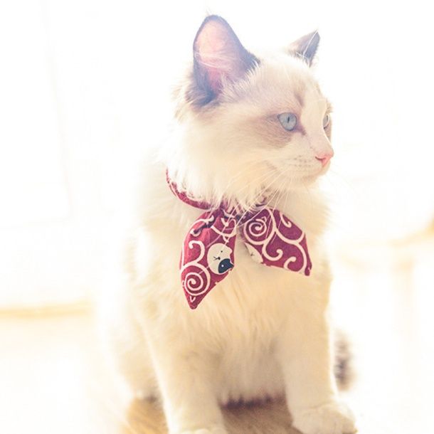 ペット用首輪 和柄蝶々リボン付き猫用首輪