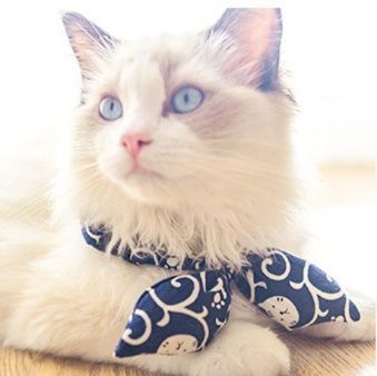 ペット用首輪 和柄蝶々リボン付き猫用首輪