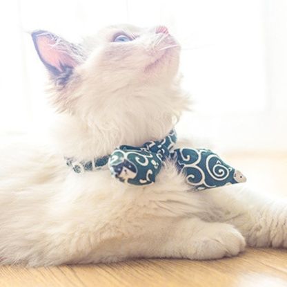 ペット用首輪 和柄蝶々リボン付き猫用首輪