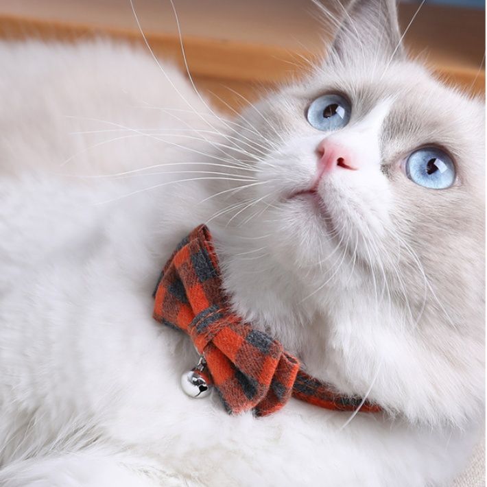 ペット用首輪 蝶結び鈴付きチェック柄　猫用
