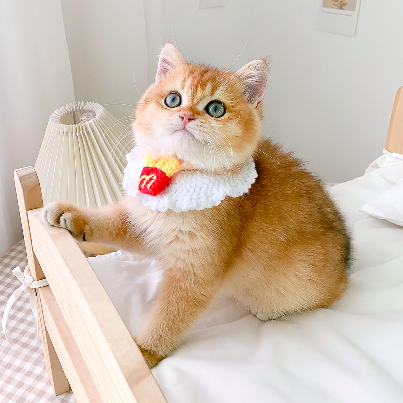 ペット用首輪 にゃんこの幸せ招福首輪