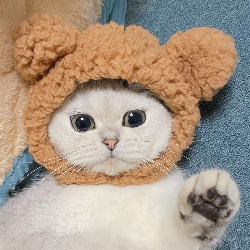https://fulmo-img-server.com/poppuppy/1842ee12-7f87-4c0c-908d-4fe1d195255d.jpg