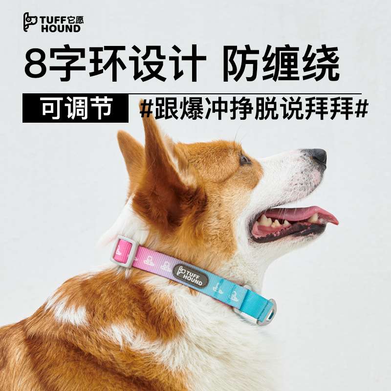 首輪