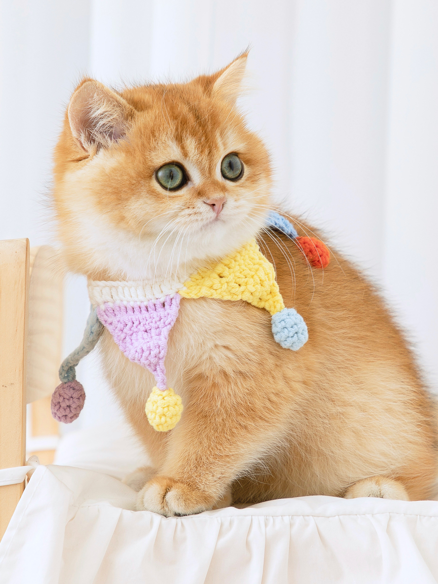 ペット用首輪 にゃんこのおめかし三角旗