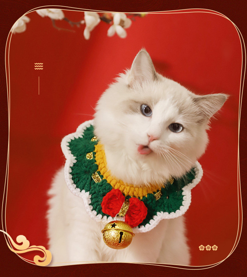https://fulmo-img-server.com/poppuppy/1bc89794-6928-4f25-869c-2ffc60c52167.jpg