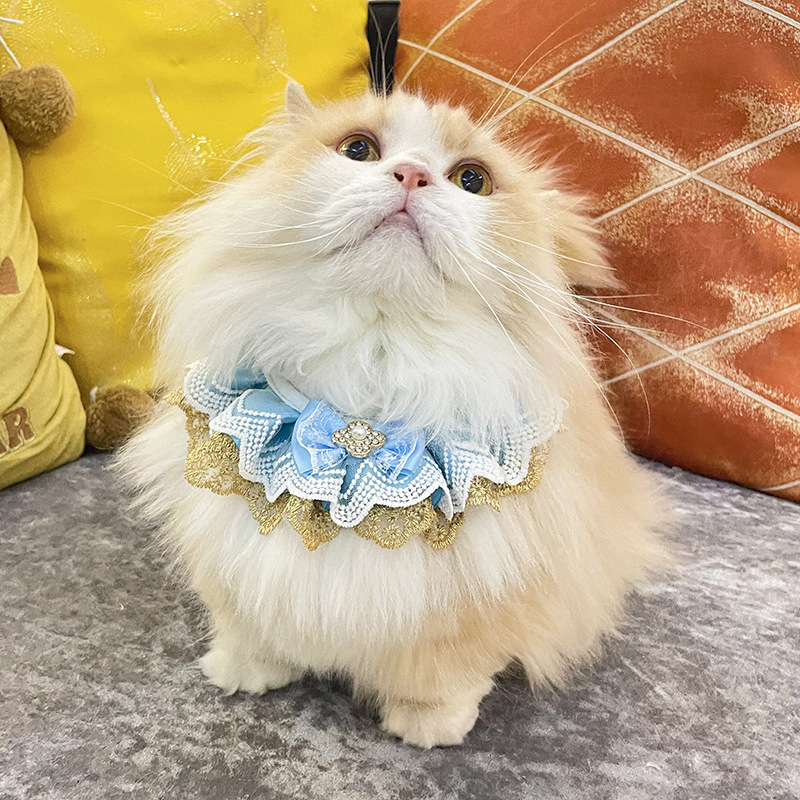 ペット用首輪 華やかレース花飾りリボン付き猫用首輪